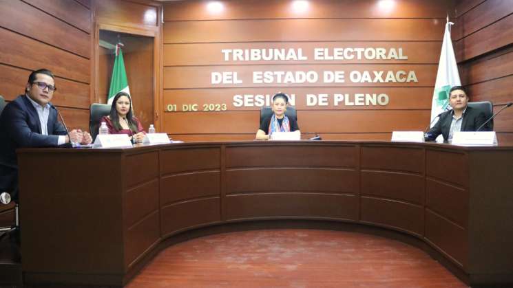 En el salón del pleno del Consejo de Participación Ciudadana acusaron a  Diana Salazar de 'plagiar el 40 %' de su tesis universitaria, Política, Noticias