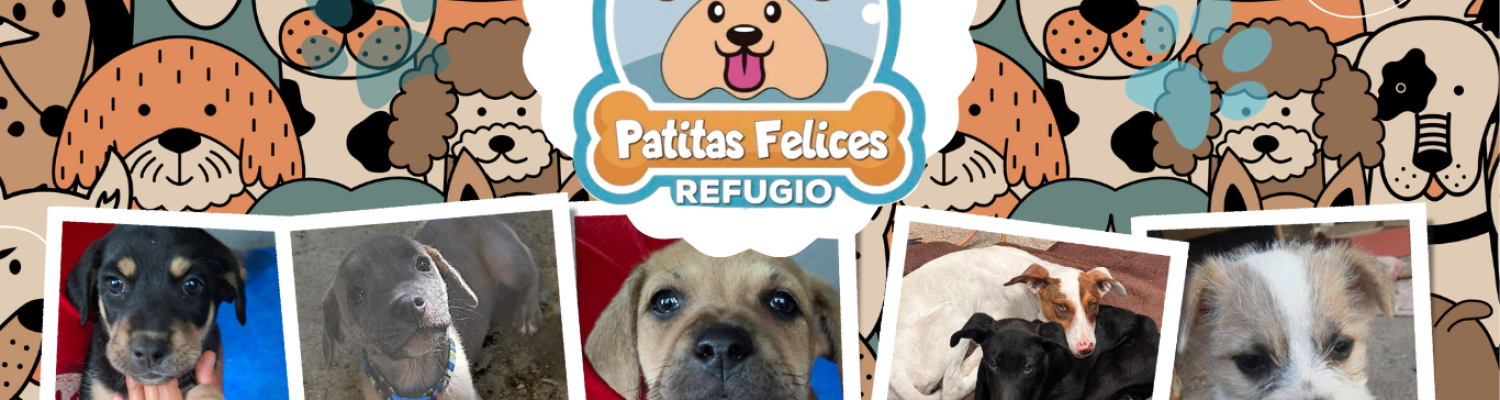 Patitas FO (Sitio web)